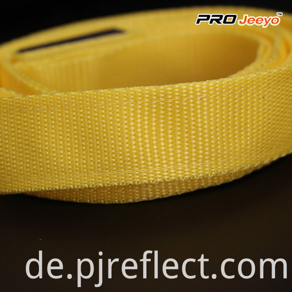 High Visibility Safety Reflectivepets Leashessvp Zd004